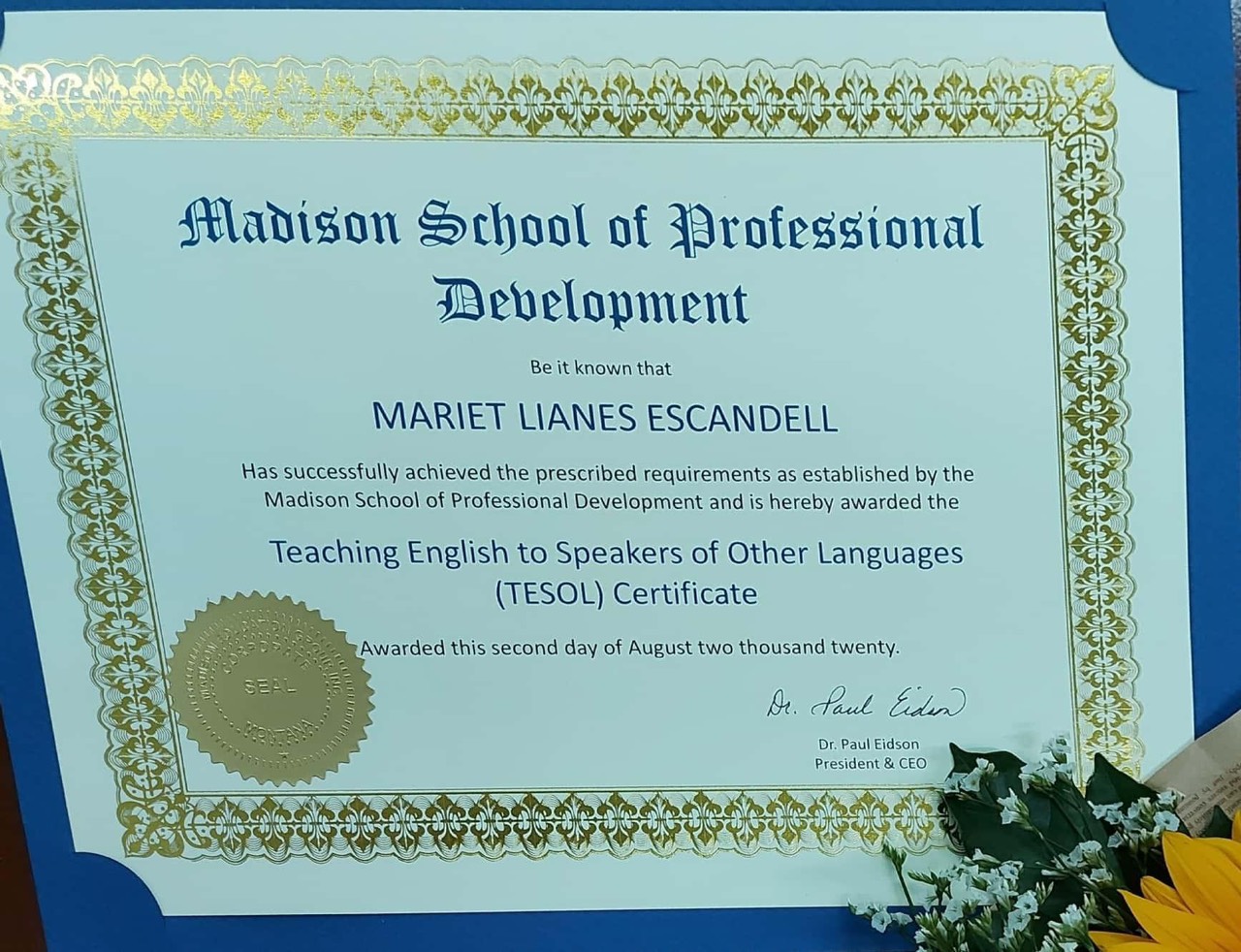 Làm Chứng Chỉ TESOL Giá Rẻ, Uy Tín Tại Làm Bằng Giả Phôi Thật