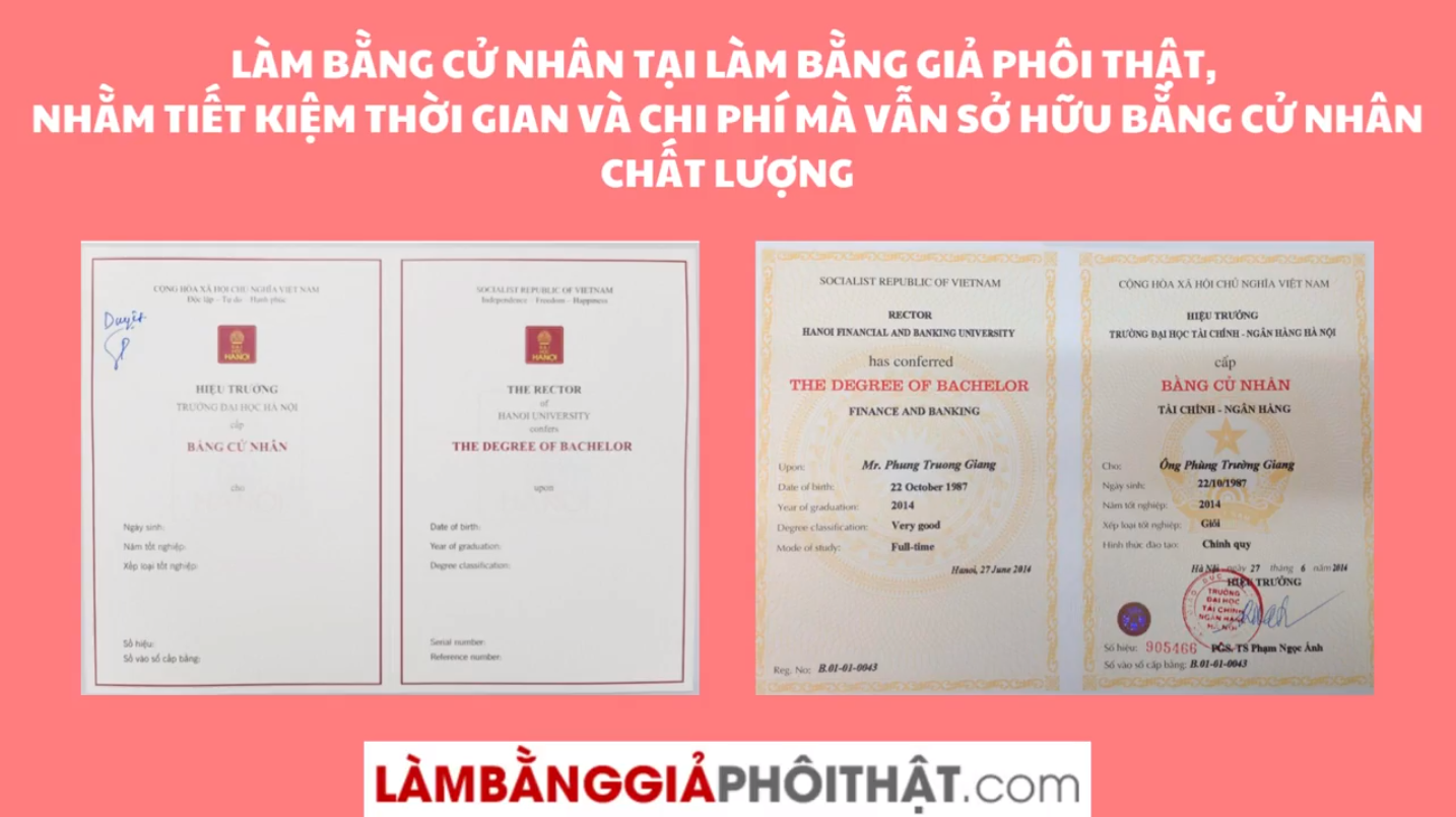 Bằng Cử Nhân Có Phải Là Bằng Đại Học? Có Nên Làm Bằng Cử Nhân?