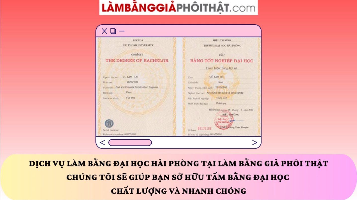 Làm Bằng Đại Học Hải Phòng Bao Sử Dụng Trên Cả Nước