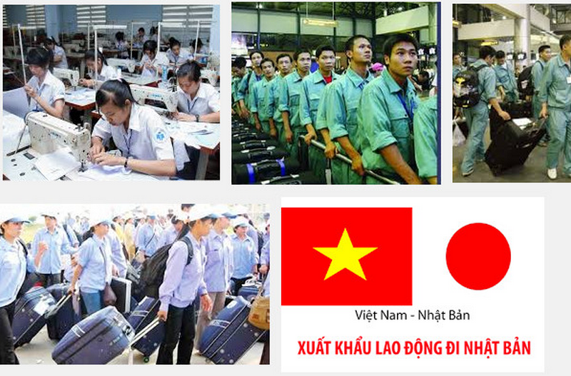 Làm Chứng Chỉ Tiếng Nhật Bao Xuất Khẩu Lao Động Nhật